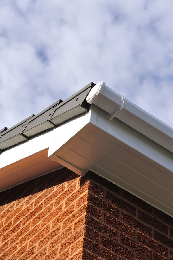 gutter and roofline